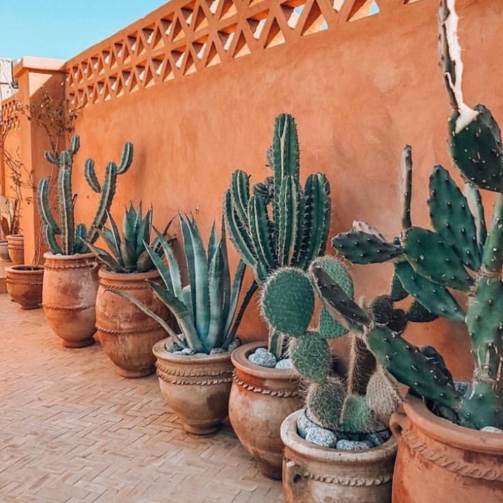 Meet your Posher, Jane